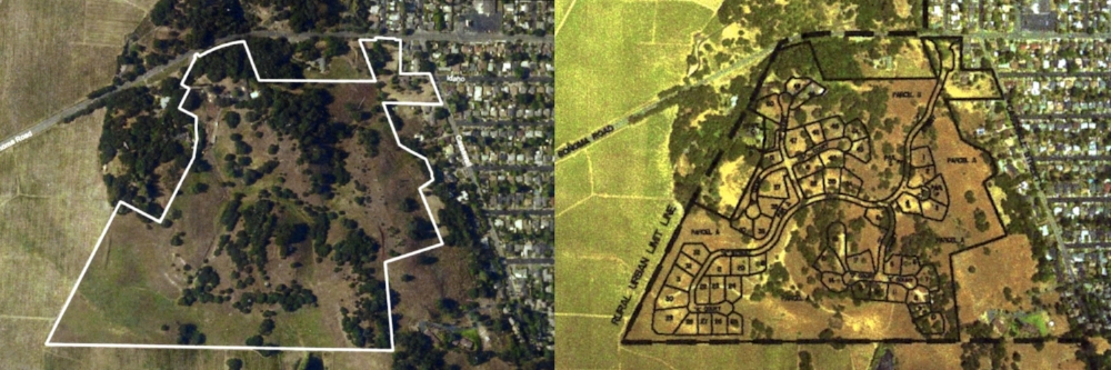 Stop Napa Oaks Before / After Photo